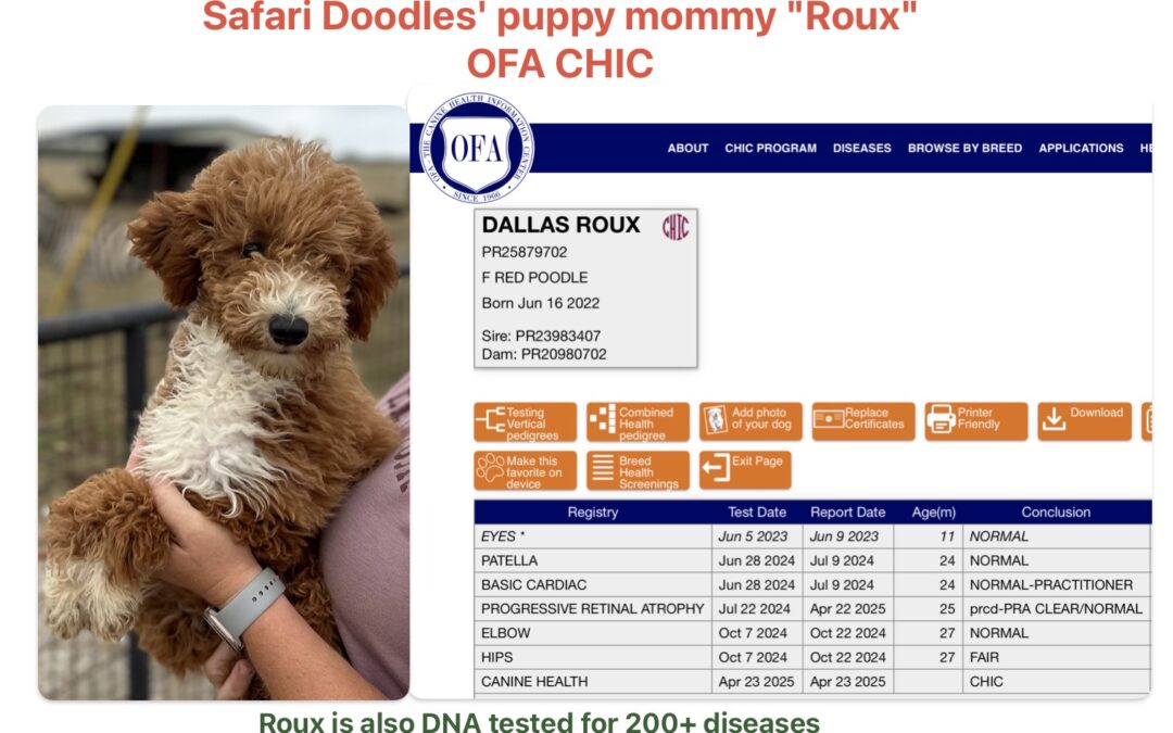 Roux (mom)