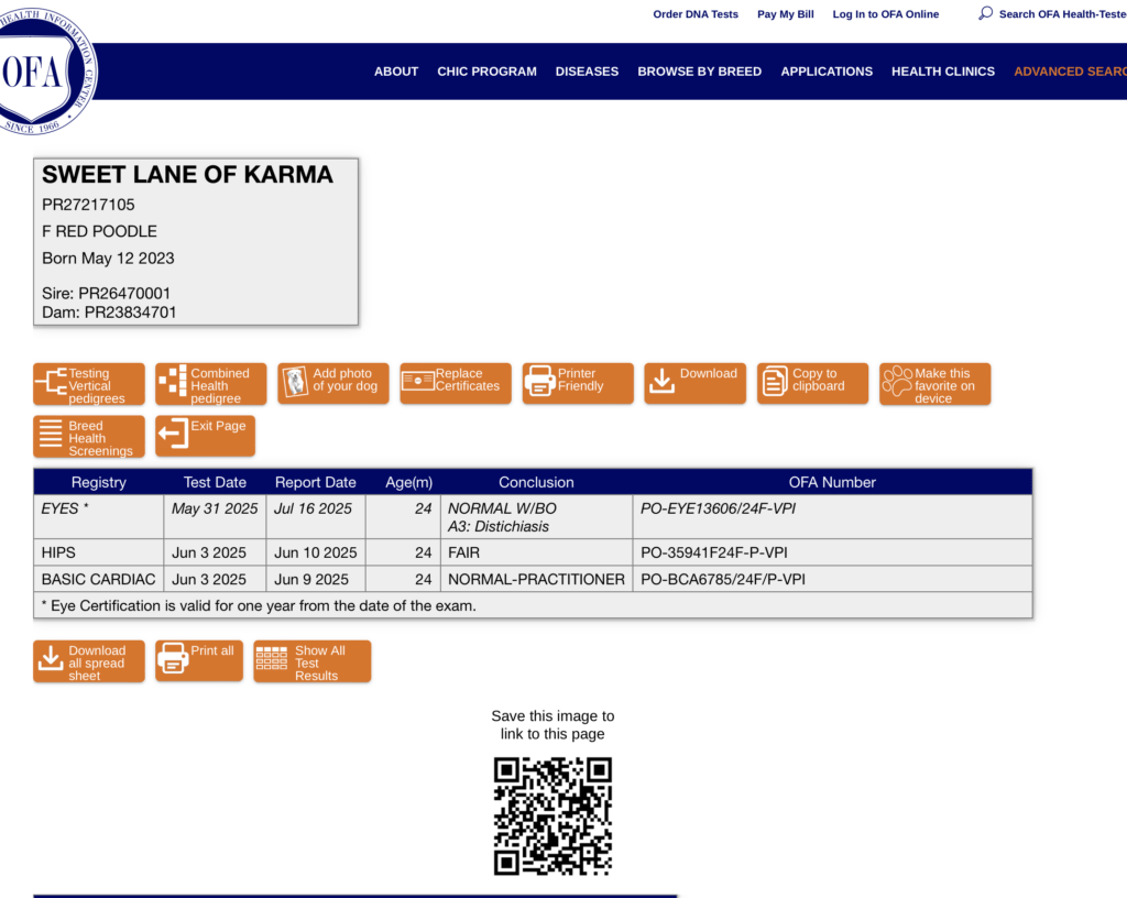 OFA record for Lane, mother of Safari Doodles puppies in Dallas Texas