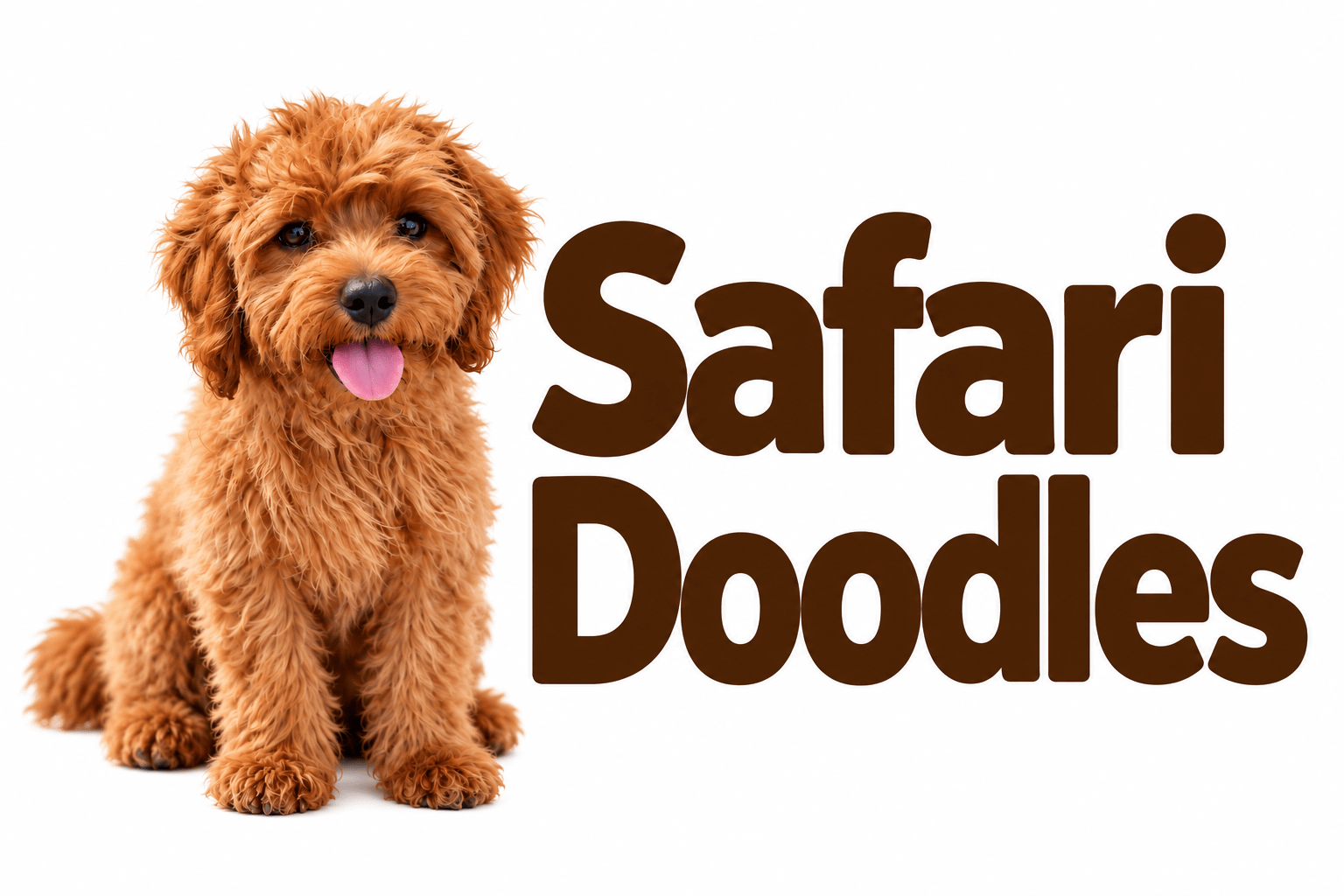 Safari Doodles Blog
